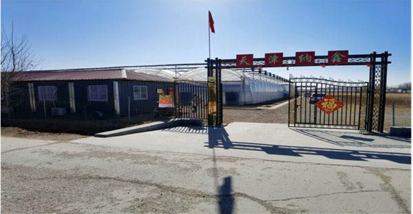 天津纳新农业种植基地